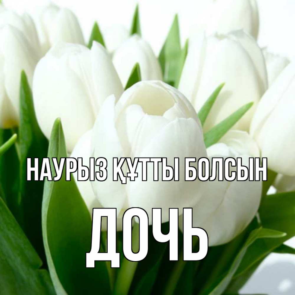 Күн сайын ашық хат с именем, Дочь Наурыз құтты болсын цветы Онлайн тегін жүктеп алу тілектері бар керемет карта 
