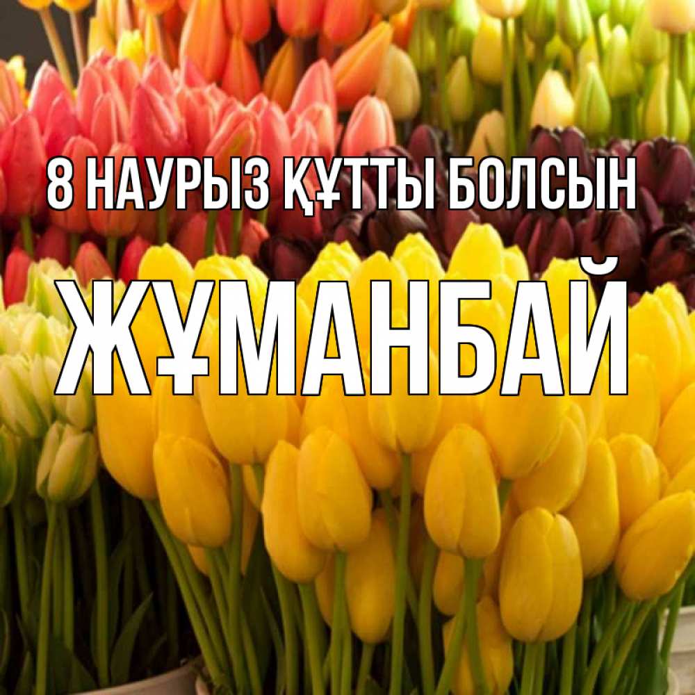 Күн сайын ашық хат с именем, Жұманбай 8 наурыз құтты болсын цветы Онлайн тегін жүктеп алу тілектері бар керемет карта 