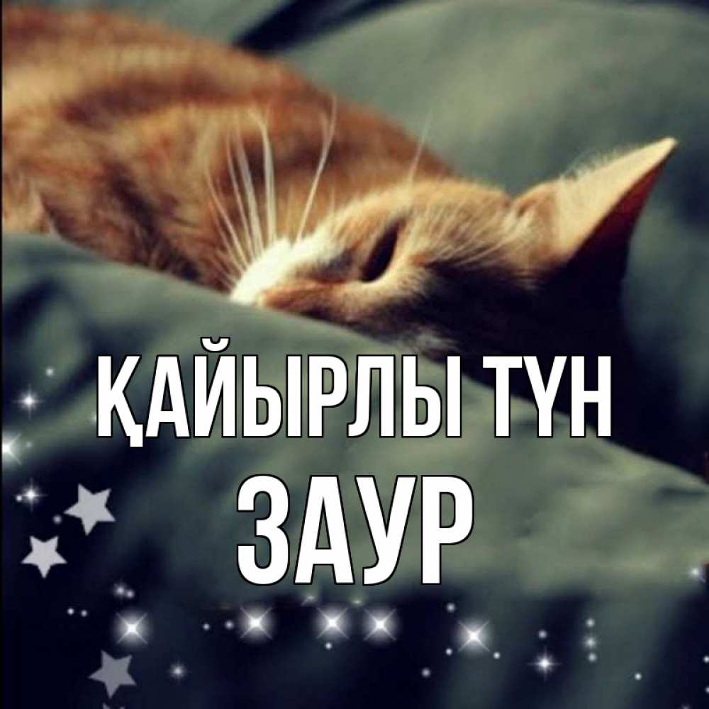 Күн сайын ашық хат с именем, Заур Қайырлы түн кроватка Онлайн тегін жүктеп алу тілектері бар керемет карта 