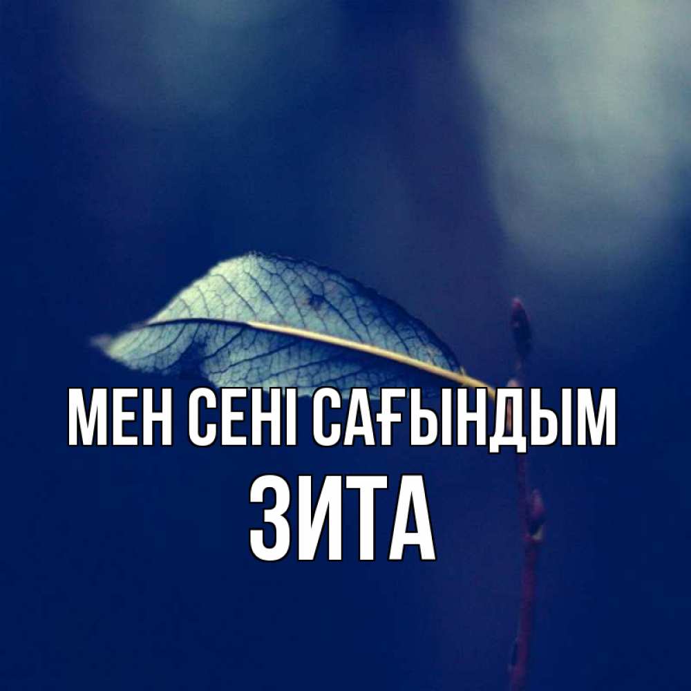 Күн сайын ашық хат с именем, Зита Мен сені сағындым одна ветка 1 Онлайн тегін жүктеп алу тілектері бар керемет карта 