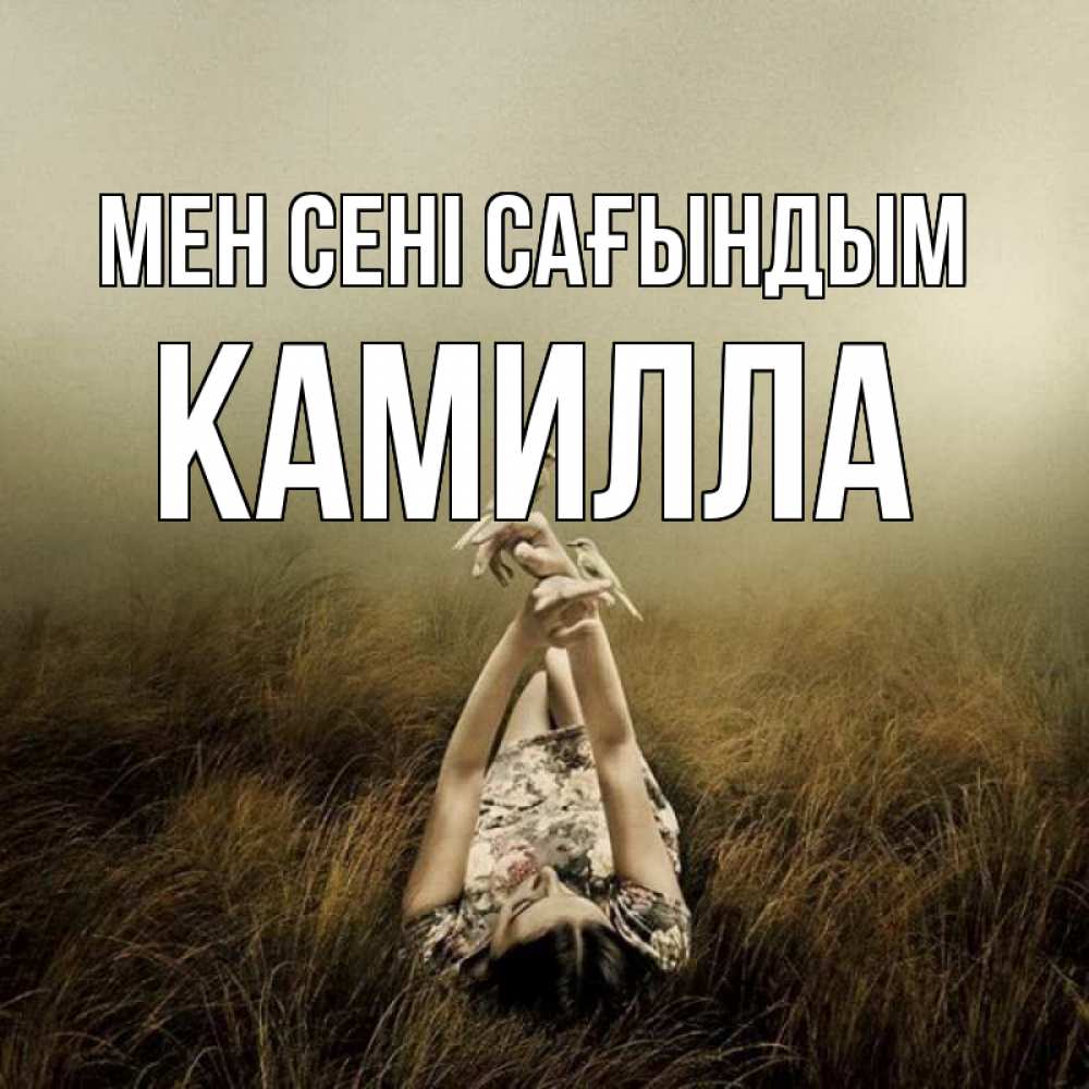 Күн сайын ашық хат с именем, Камилла Мен сені сағындым девушка с голубями Онлайн тегін жүктеп алу тілектері бар керемет карта 