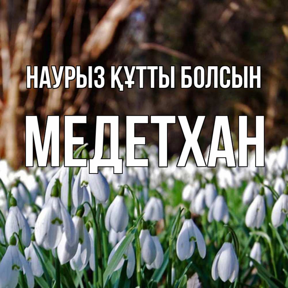 Күн сайын ашық хат с именем, МЕДЕТХАН Наурыз құтты болсын с подснежниками 1 Онлайн тегін жүктеп алу тілектері бар керемет карта 