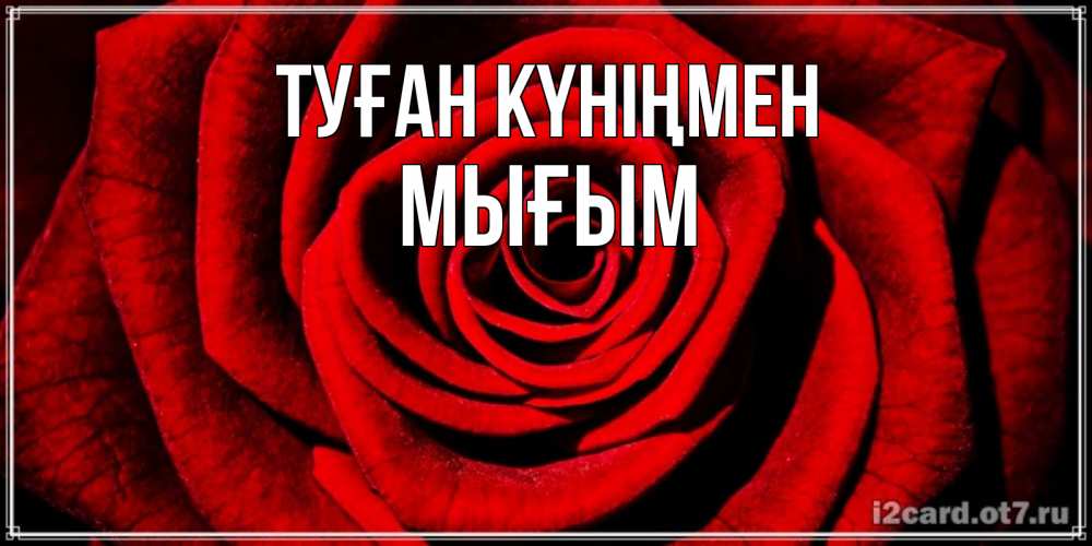 Күн сайын ашық хат с именем, МЫҒЫМ Туған күніңмен алая роза Онлайн тегін жүктеп алу тілектері бар керемет карта 