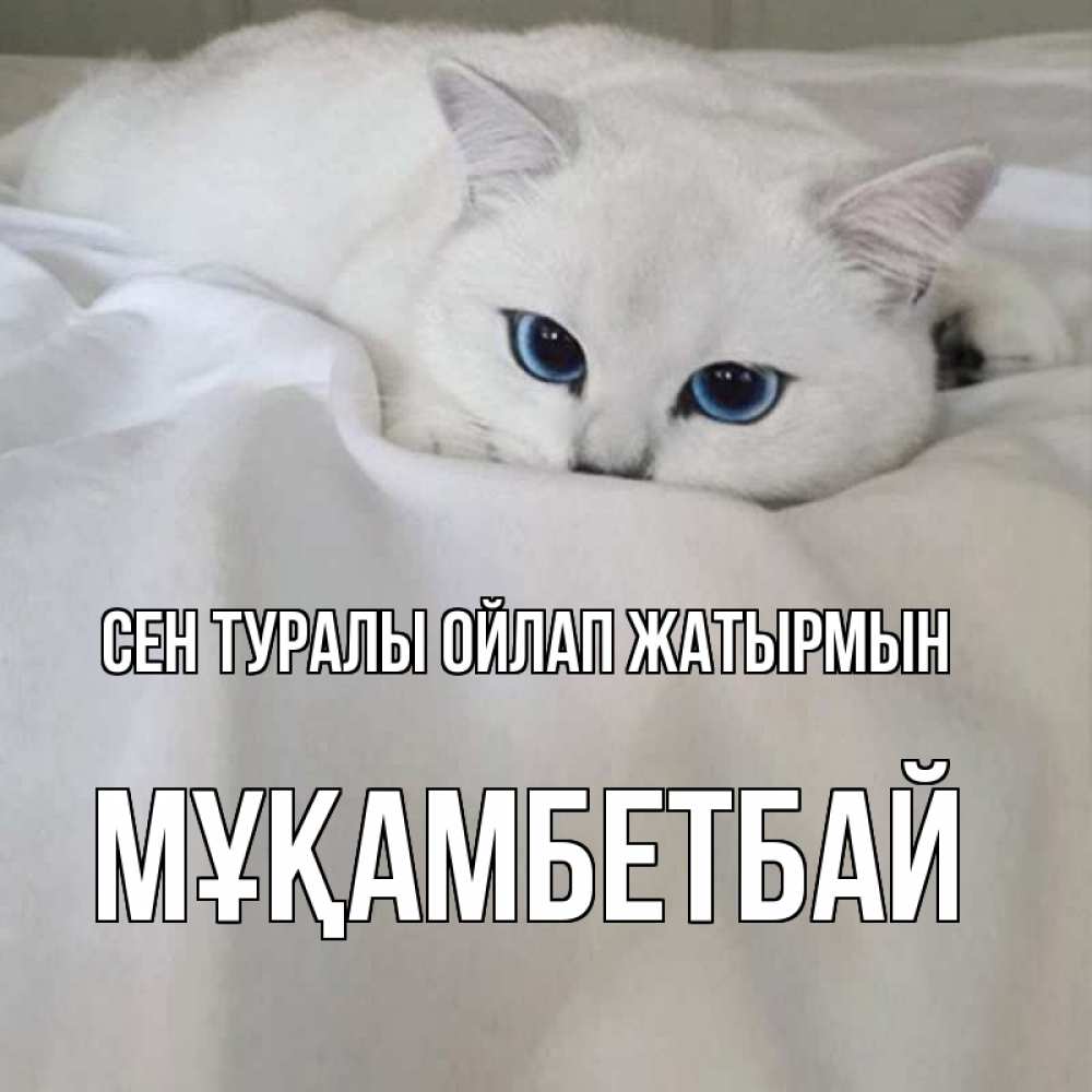 Күн сайын ашық хат с именем, Мұқамбетбай Сен туралы ойлап жатырмын я очень по тебе скучаю и тоскую Онлайн тегін жүктеп алу тілектері бар керемет карта 