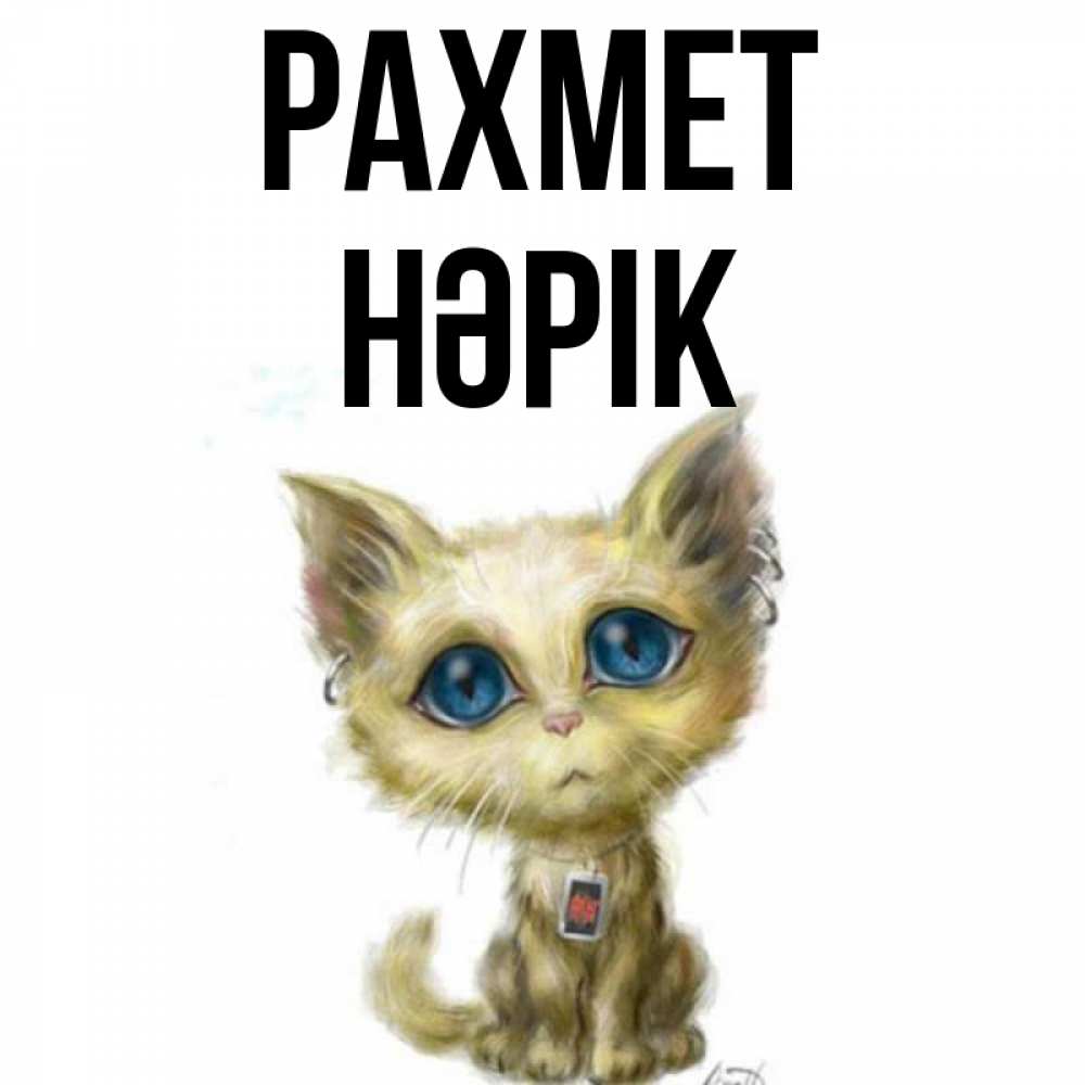 Күн сайын ашық хат с именем, НӘРІК рахмет рисованный кот благодарит вас Онлайн тегін жүктеп алу тілектері бар керемет карта 