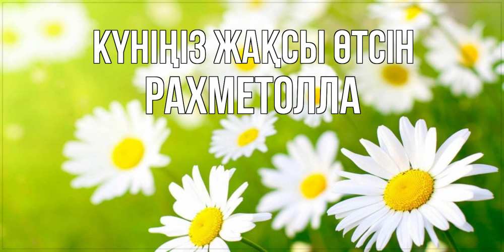 Күн сайын ашық хат с именем, РАХМЕТОЛЛА Күніңіз жақсы өтсін открытка с ромашками на зеленом фоне Онлайн тегін жүктеп алу тілектері бар керемет карта 