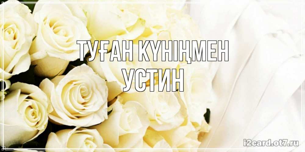 Күн сайын ашық хат с именем, Устин Туған күніңмен белые розы в букете Онлайн тегін жүктеп алу тілектері бар керемет карта 
