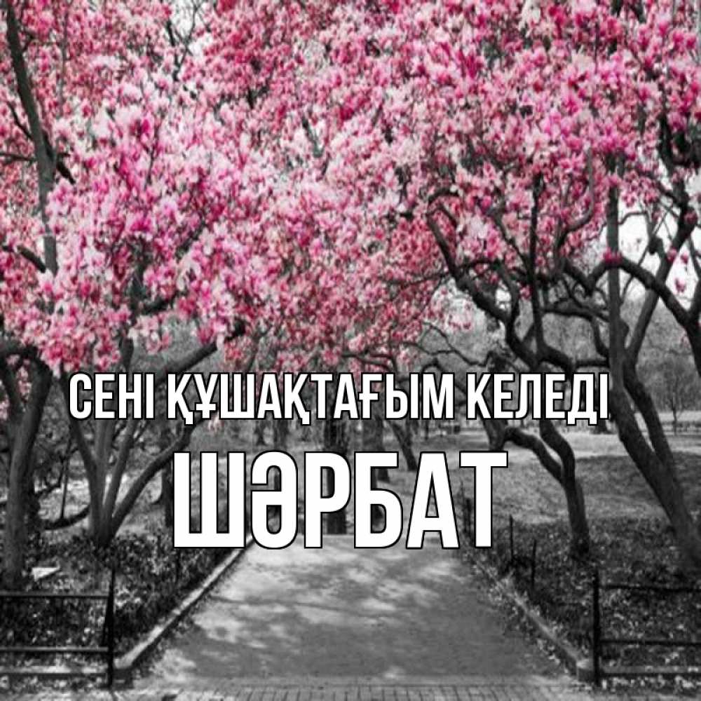 Күн сайын ашық хат с именем, ШӘРБАТ сені құшақтағым келеді обработанное фото Онлайн тегін жүктеп алу тілектері бар керемет карта 