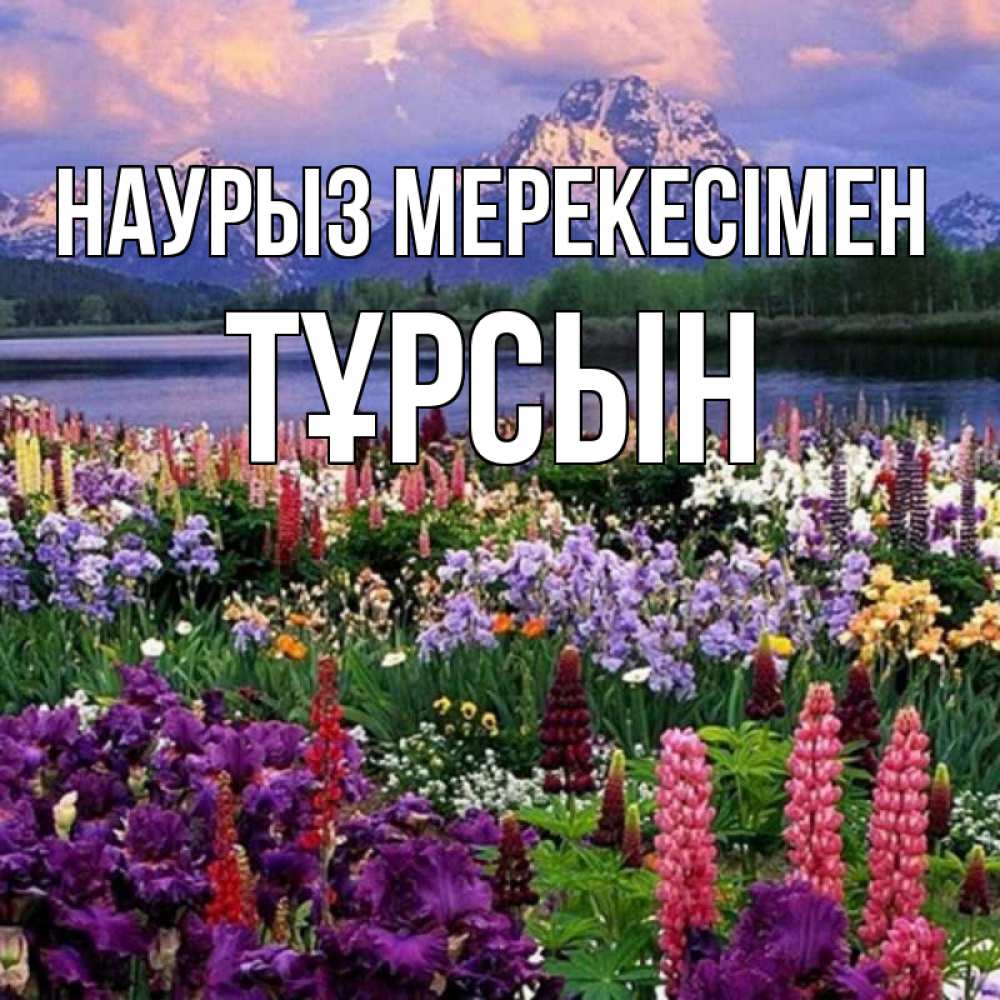 Күн сайын ашық хат с именем, ТҰРСЫН Наурыз мерекесімен праздник весны наурыз Онлайн тегін жүктеп алу тілектері бар керемет карта 