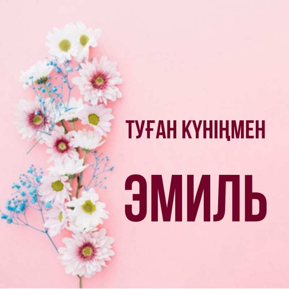 Күн сайын ашық хат с именем, Эмиль Туған күніңмен Родная моя с днем рождения тебя картинка с цветами белыми и голубыми Онлайн тегін жүктеп алу тілектері бар керемет карта 