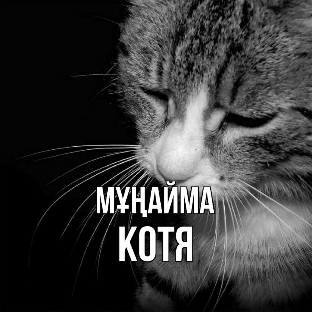 Күн сайын ашық хат с именем, Котя Мұңайма грустный котик Онлайн тегін жүктеп алу тілектері бар керемет карта 