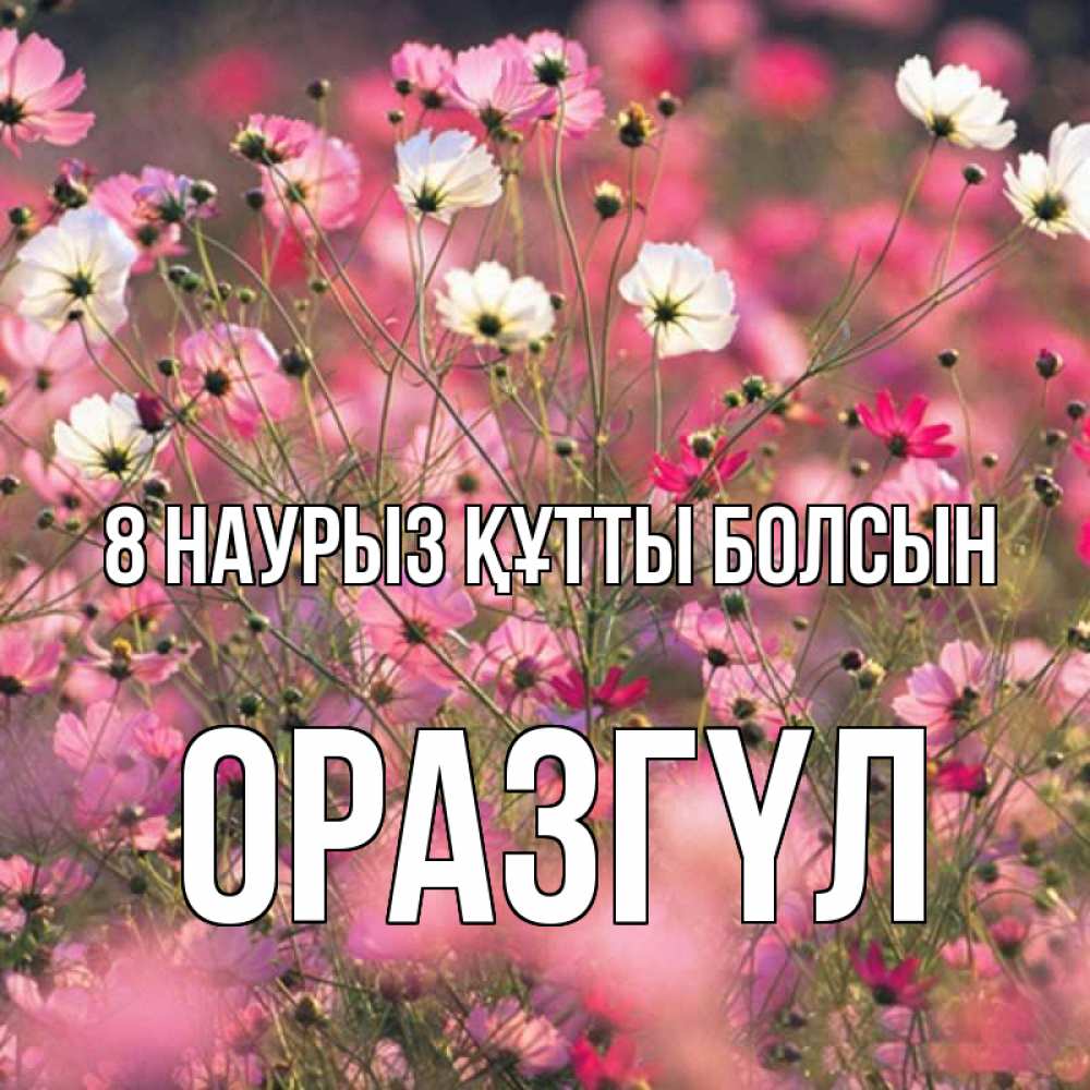 Күн сайын ашық хат с именем, ОРАЗГҮЛ 8 наурыз құтты болсын красиво 1 Онлайн тегін жүктеп алу тілектері бар керемет карта 