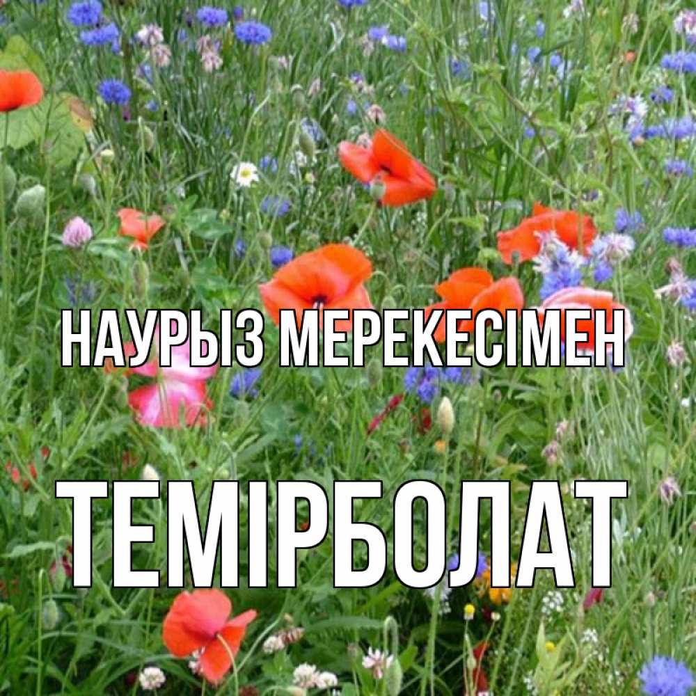 Күн сайын ашық хат с именем, ТЕМІРБОЛАТ Наурыз мерекесімен праздник весны наурыз супер открытка Онлайн тегін жүктеп алу тілектері бар керемет карта 