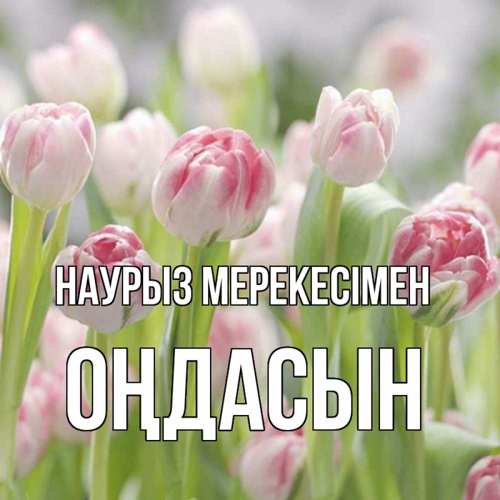 Күн сайын ашық хат с именем, ОҢДАСЫН Наурыз мерекесімен цветы Онлайн тегін жүктеп алу тілектері бар керемет карта 