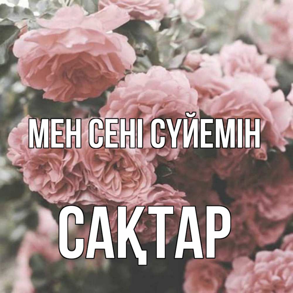 Күн сайын ашық хат с именем, САҚТАР Мен сені сүйемін розы 3 Онлайн тегін жүктеп алу тілектері бар керемет карта 