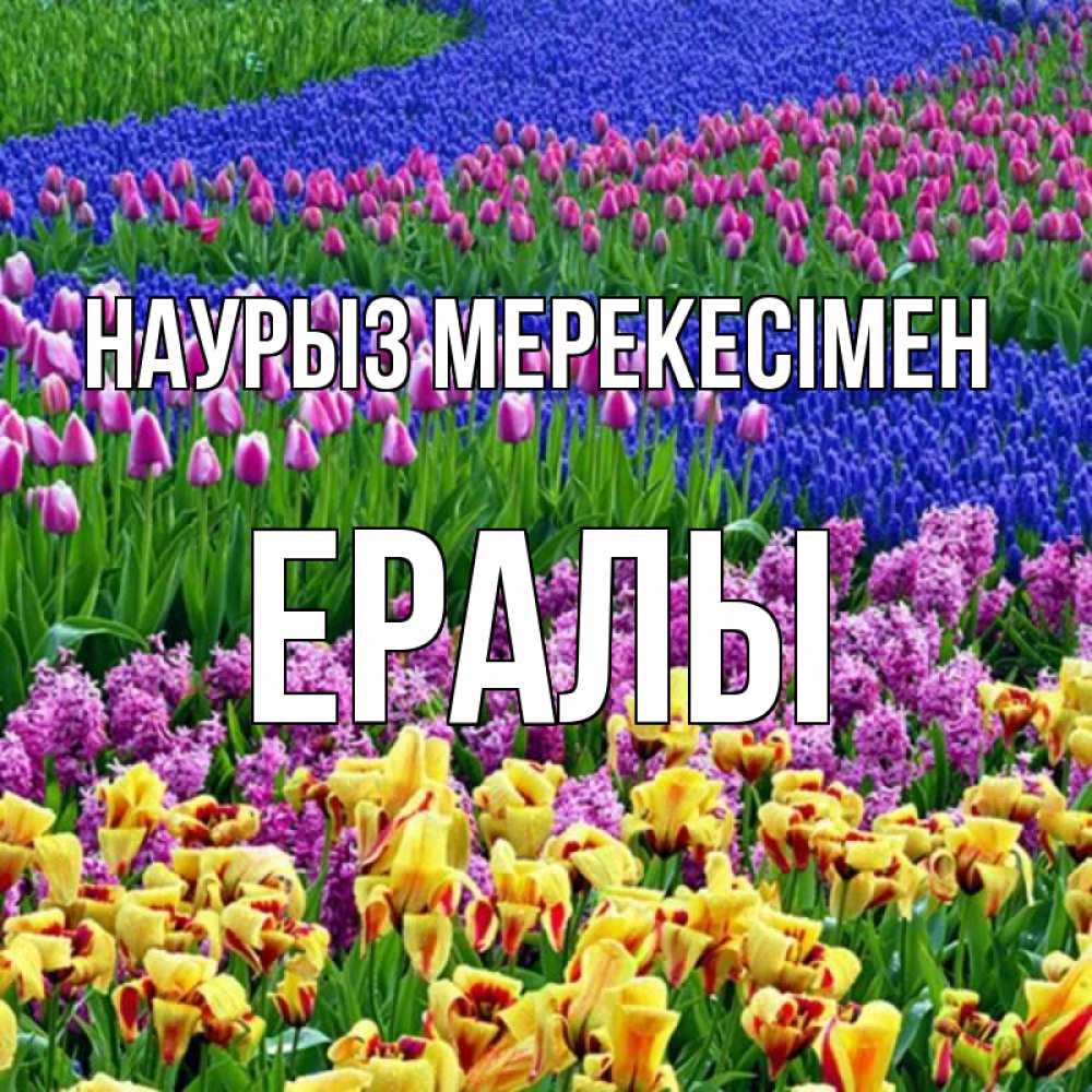 Күн сайын ашық хат с именем, Ералы Наурыз мерекесімен цветы Онлайн тегін жүктеп алу тілектері бар керемет карта 