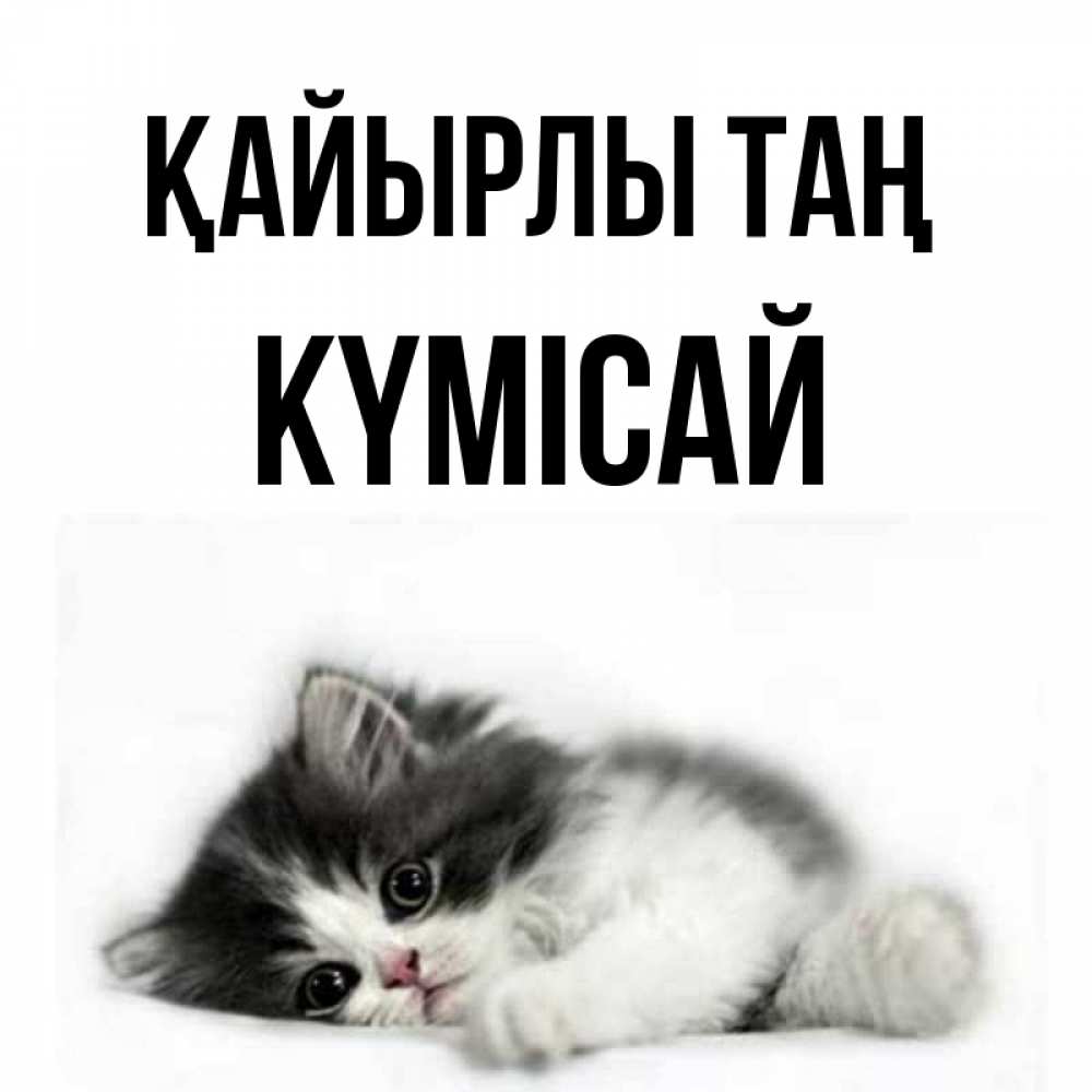 Күн сайын ашық хат с именем, КҮМІСАЙ Қайырлы таң кот лапки Онлайн тегін жүктеп алу тілектері бар керемет карта 