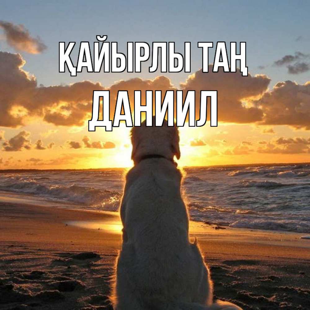 Күн сайын ашық хат с именем, Даниил Қайырлы таң восход солнца Онлайн тегін жүктеп алу тілектері бар керемет карта 
