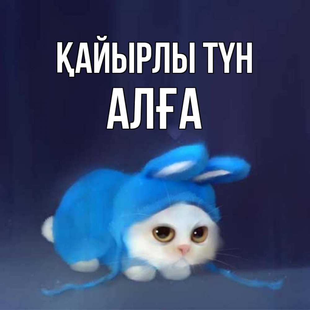 Күн сайын ашық хат с именем, Алға Қайырлы түн кот в голубом костюме кролика с ушками Онлайн тегін жүктеп алу тілектері бар керемет карта 