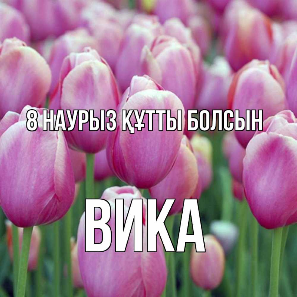 Күн сайын ашық хат с именем, Вика 8 наурыз құтты болсын на международный женский день 3 Онлайн тегін жүктеп алу тілектері бар керемет карта 
