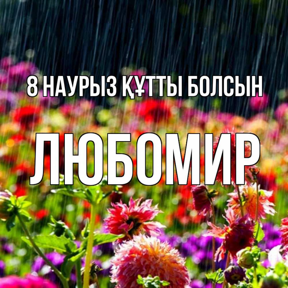 Күн сайын ашық хат с именем, Любомир 8 наурыз құтты болсын цветы под дождиком к международному женскому дню Онлайн тегін жүктеп алу тілектері бар керемет карта 