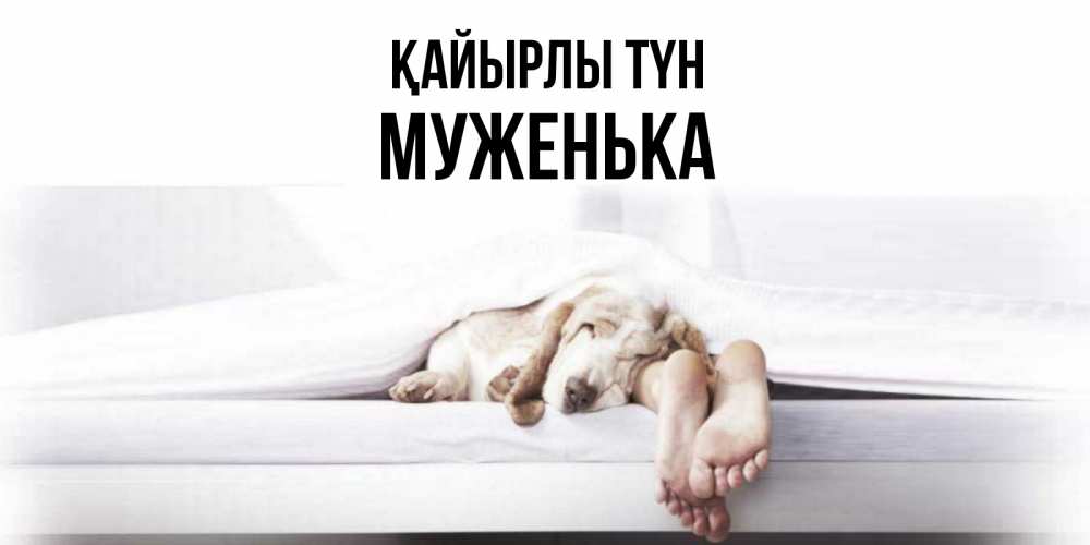 Күн сайын ашық хат с именем, Муженька Қайырлы түн кровать с собакой пожелание сладких снов и спокойной ночи Онлайн тегін жүктеп алу тілектері бар керемет карта 