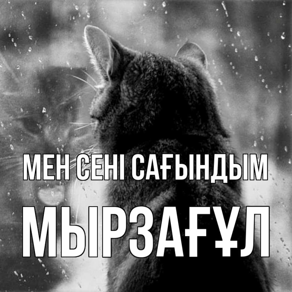 Күн сайын ашық хат с именем, Мырзағұл Мен сені сағындым скорее ко мне приходи 1 Онлайн тегін жүктеп алу тілектері бар керемет карта 