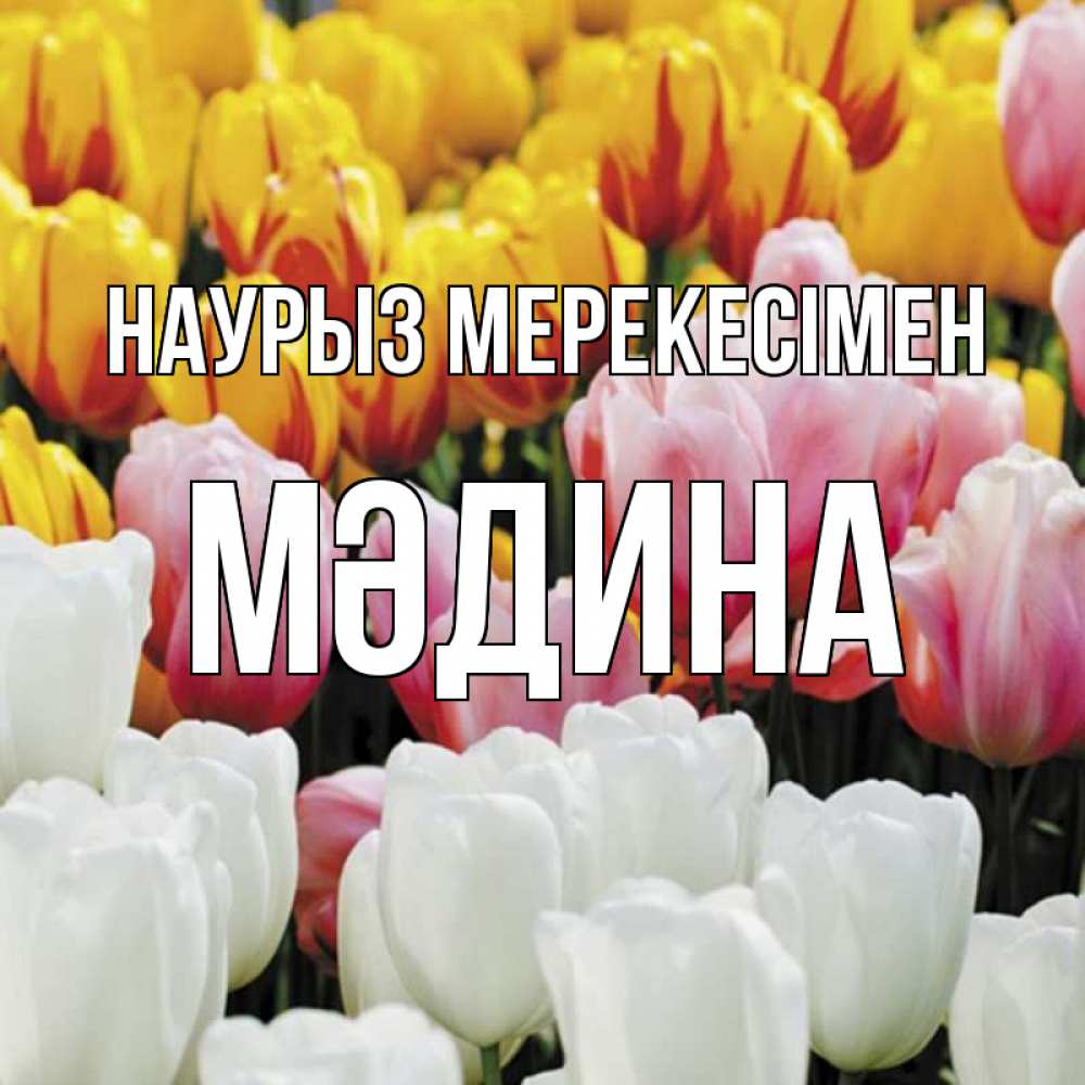 Күн сайын ашық хат с именем, МӘДИНА Наурыз мерекесімен разноцветные цветы Онлайн тегін жүктеп алу тілектері бар керемет карта 