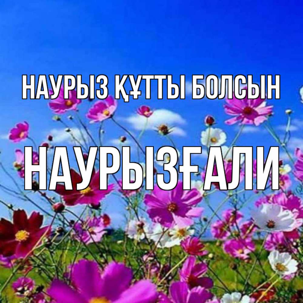 Күн сайын ашық хат с именем, Наурызғали Наурыз құтты болсын цветы Онлайн тегін жүктеп алу тілектері бар керемет карта 