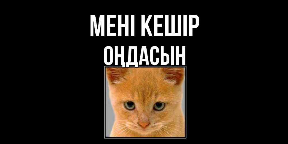 Күн сайын ашық хат с именем, ОҢДАСЫН Мені кешір рыжий грустный кот просит прощения Онлайн тегін жүктеп алу тілектері бар керемет карта 