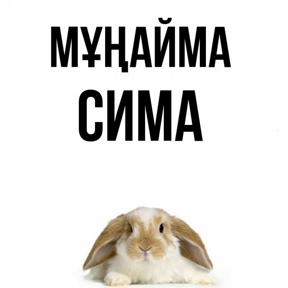 Күн сайын ашық хат с именем, Сима Мұңайма коричнево белый заяц с большими ушками Онлайн тегін жүктеп алу тілектері бар керемет карта 