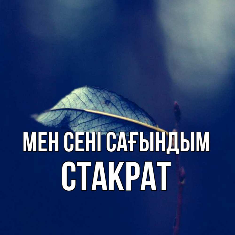 Күн сайын ашық хат с именем, Стакрат Мен сені сағындым одна ветка 1 Онлайн тегін жүктеп алу тілектері бар керемет карта 
