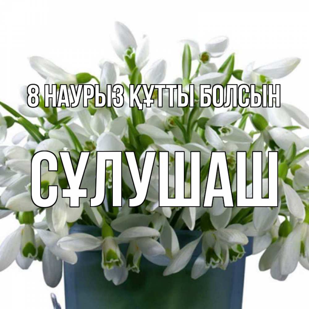 Күн сайын ашық хат с именем, СҰЛУШАШ 8 наурыз құтты болсын цветы к международному женскому дню Онлайн тегін жүктеп алу тілектері бар керемет карта 