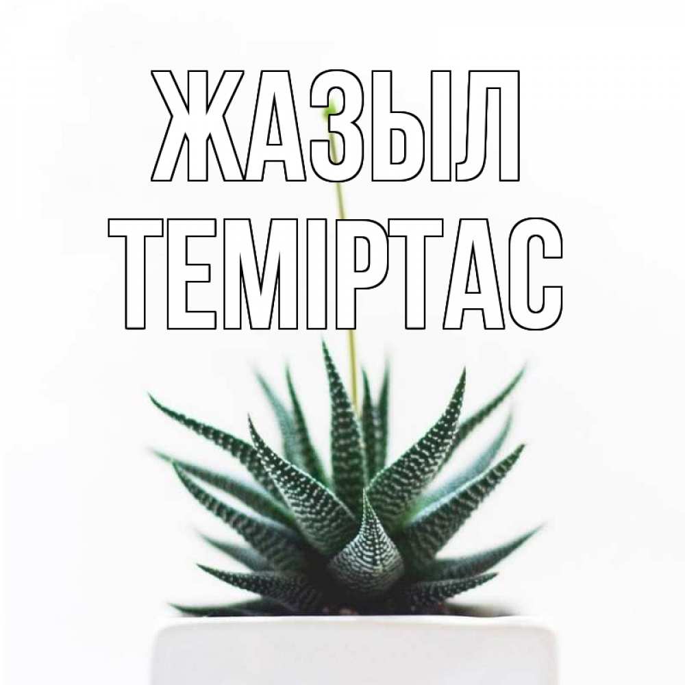 Күн сайын ашық хат с именем, ТЕМІРТАС Жазыл короче это непонятная колючка Онлайн тегін жүктеп алу тілектері бар керемет карта 