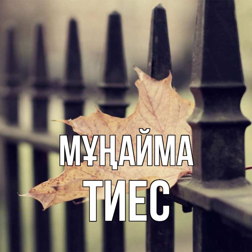 Күн сайын ашық хат с именем, ТИЕС Мұңайма лист клена Онлайн тегін жүктеп алу тілектері бар керемет карта 