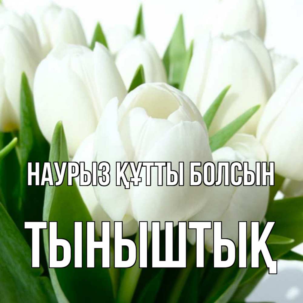 Күн сайын ашық хат с именем, ТЫНЫШТЫҚ Наурыз құтты болсын цветы Онлайн тегін жүктеп алу тілектері бар керемет карта 