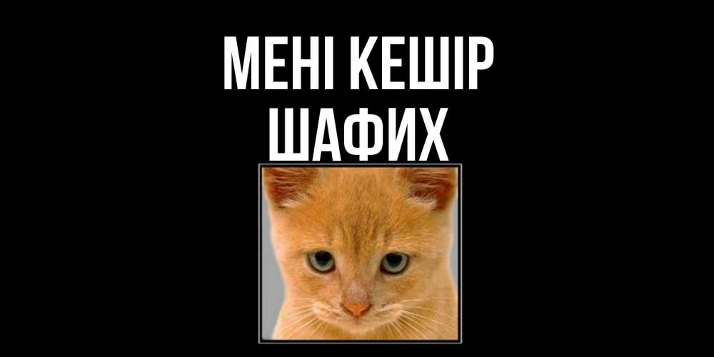 Күн сайын ашық хат с именем, ШАФИХ Мені кешір рыжий грустный кот просит прощения Онлайн тегін жүктеп алу тілектері бар керемет карта 