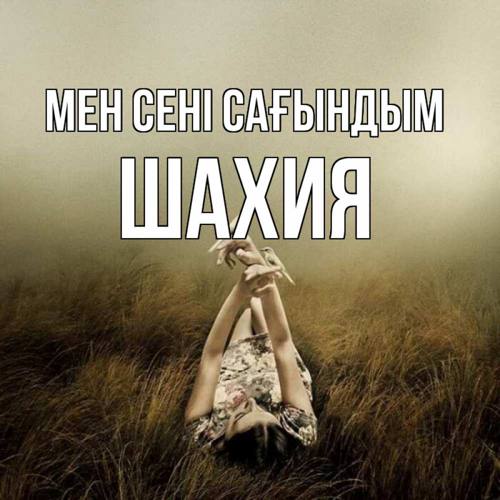 Күн сайын ашық хат с именем, ШАХИЯ Мен сені сағындым девушка с голубями Онлайн тегін жүктеп алу тілектері бар керемет карта 
