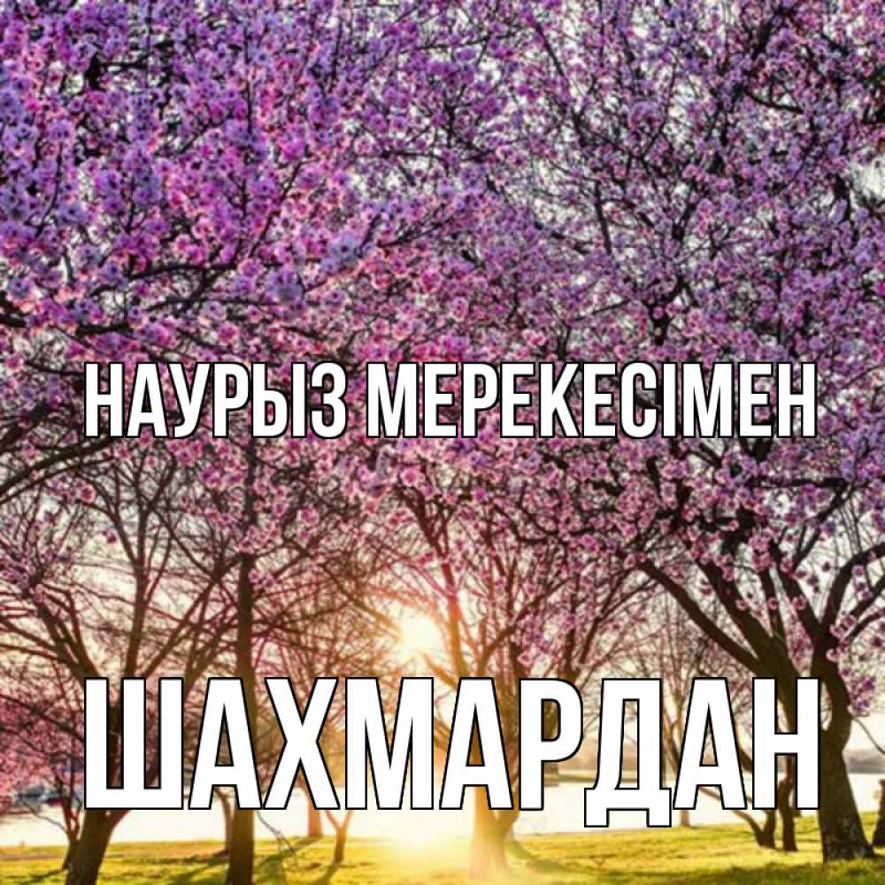 Күн сайын ашық хат с именем, ШАХМАРДАН Наурыз мерекесімен праздник весны наурыз Онлайн тегін жүктеп алу тілектері бар керемет карта 