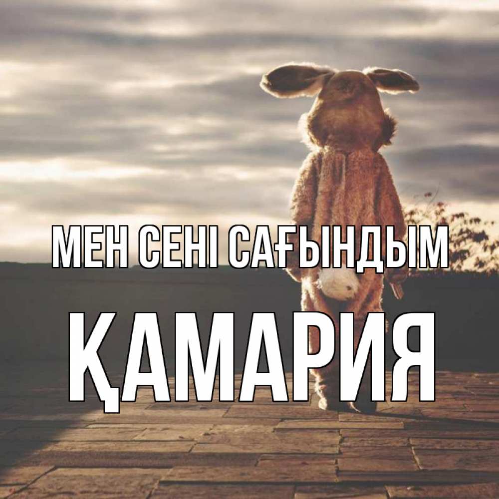 Күн сайын ашық хат с именем, ҚАМАРИЯ Мен сені сағындым даже в костюме зайца Онлайн тегін жүктеп алу тілектері бар керемет карта 