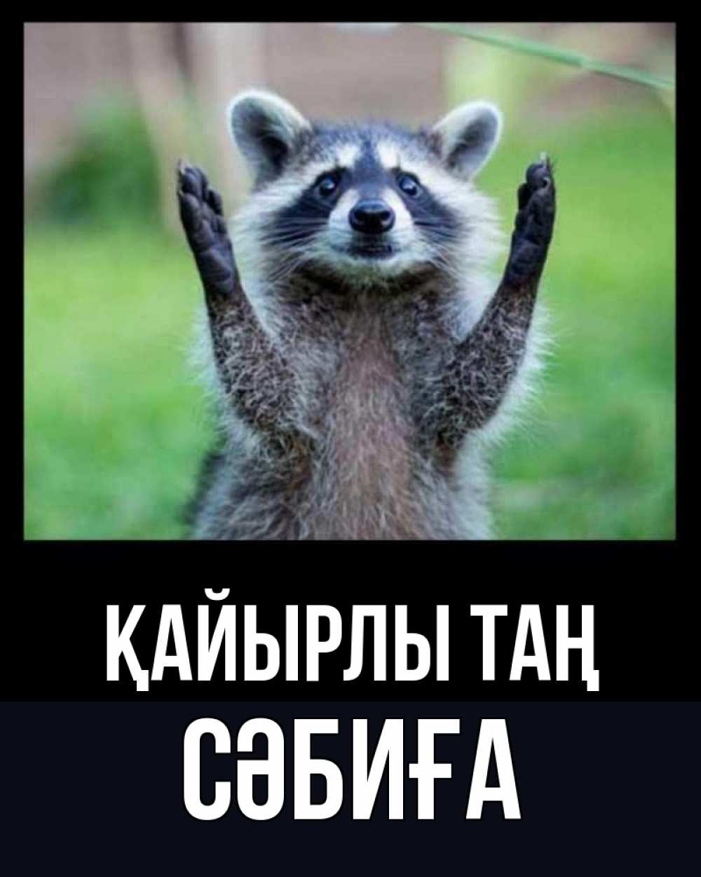 Күн сайын ашық хат с именем, СӘБИҒА Қайырлы таң хорошее настроение утречком Онлайн тегін жүктеп алу тілектері бар керемет карта 