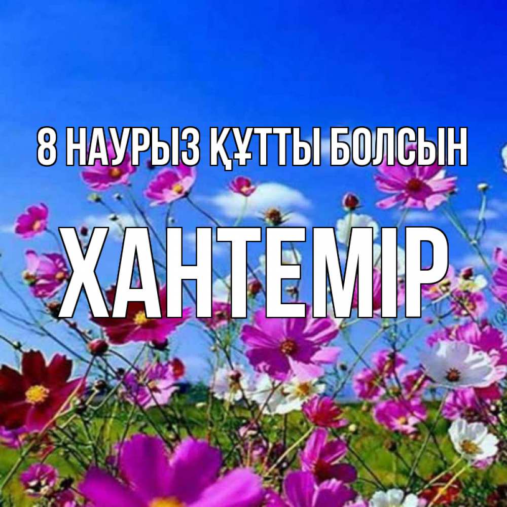 Күн сайын ашық хат с именем, ХАНТЕМІР 8 наурыз құтты болсын цветы Онлайн тегін жүктеп алу тілектері бар керемет карта 