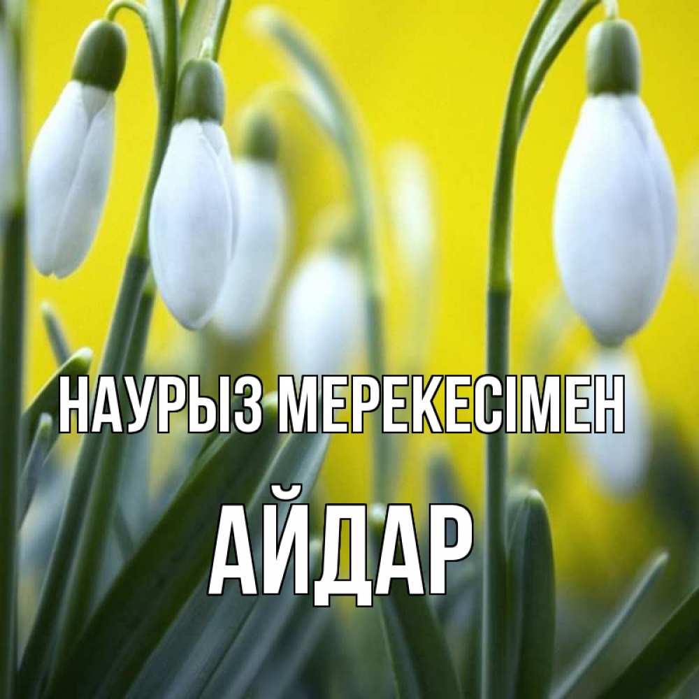 Күн сайын ашық хат с именем, Айдар Наурыз мерекесімен весенние цветы Онлайн тегін жүктеп алу тілектері бар керемет карта 