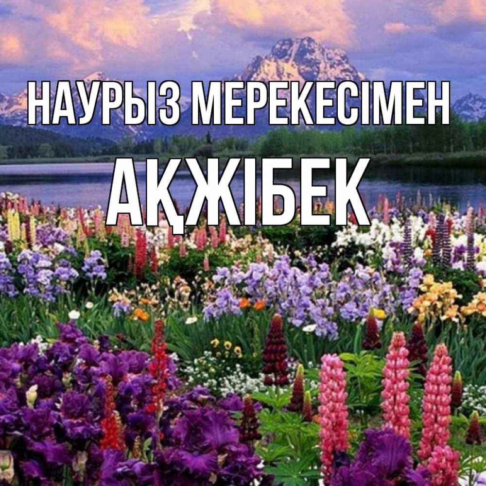 Күн сайын ашық хат с именем, АҚЖІБЕК Наурыз мерекесімен праздник весны наурыз Онлайн тегін жүктеп алу тілектері бар керемет карта 