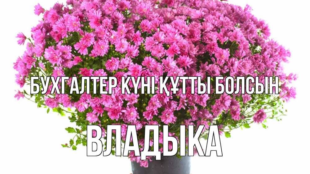 Күн сайын ашық хат с именем, Владыка бухгалтер күні құтты болсын с днем бухгалтера Онлайн тегін жүктеп алу тілектері бар керемет карта 