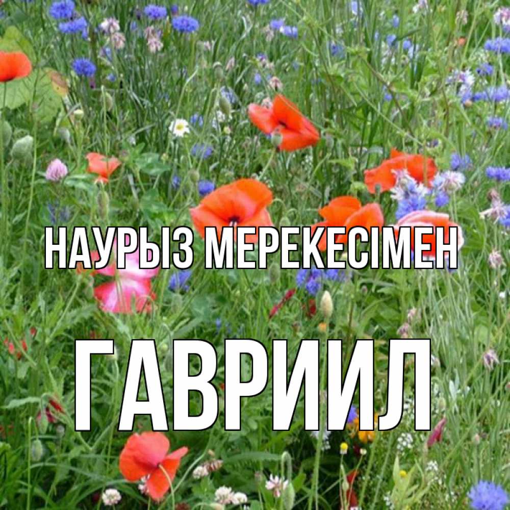 Күн сайын ашық хат с именем, Гавриил Наурыз мерекесімен праздник весны наурыз супер открытка Онлайн тегін жүктеп алу тілектері бар керемет карта 