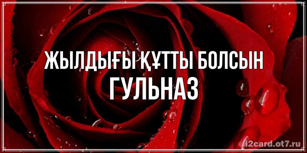 Күн сайын ашық хат с именем, Гульназ Жылдығы құтты болсын крупная бордовая роза Онлайн тегін жүктеп алу тілектері бар керемет карта 