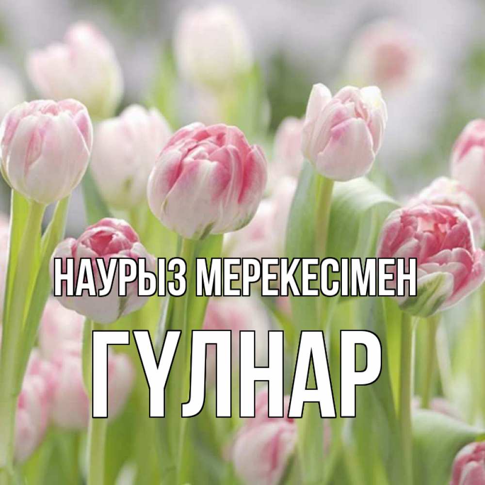 Күн сайын ашық хат с именем, ГҮЛНАР Наурыз мерекесімен цветы Онлайн тегін жүктеп алу тілектері бар керемет карта 