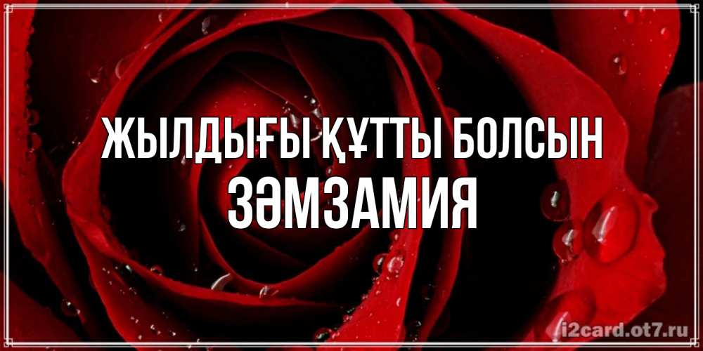 Күн сайын ашық хат с именем, ЗӘМЗАМИЯ Жылдығы құтты болсын крупная бордовая роза Онлайн тегін жүктеп алу тілектері бар керемет карта 