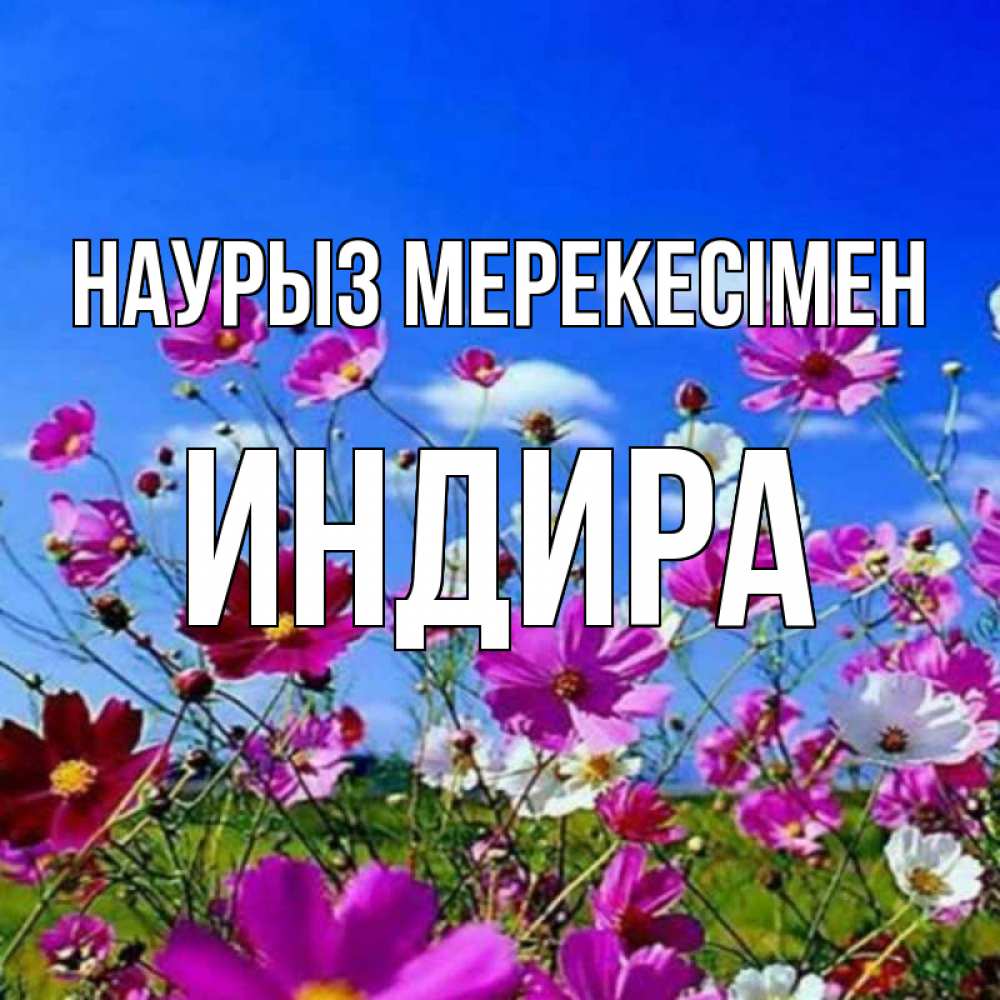 Күн сайын ашық хат с именем, ИНДИРА Наурыз мерекесімен цветы Онлайн тегін жүктеп алу тілектері бар керемет карта 